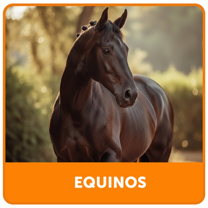 Equinos