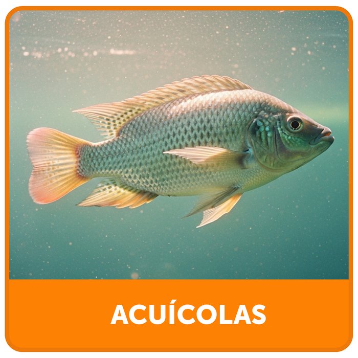 Acuícolas