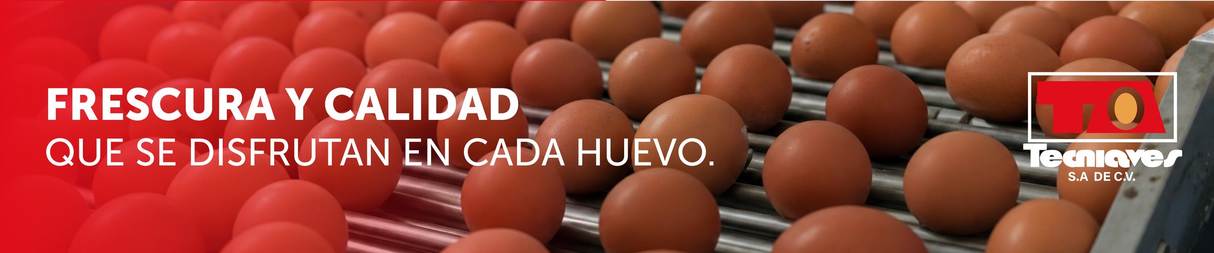 Nutrición en cada huevo