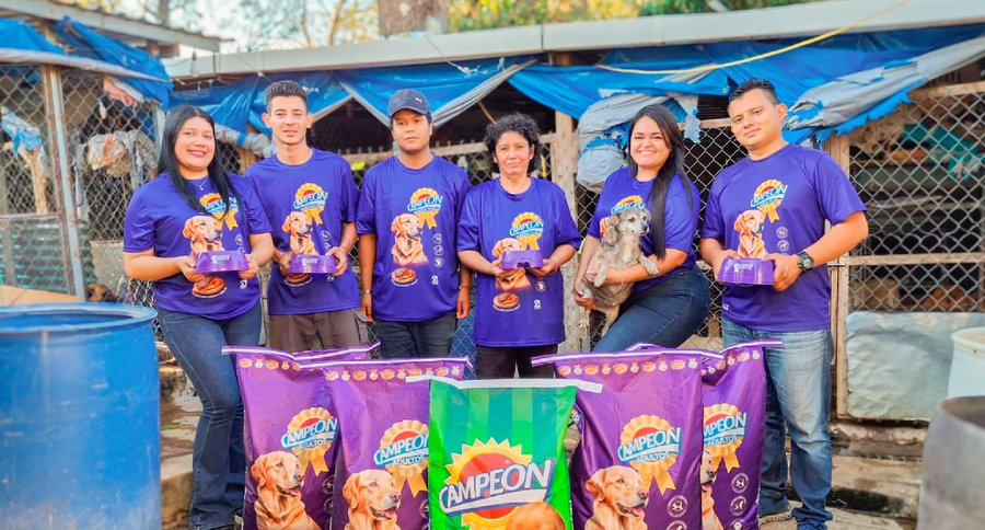 Voluntarios entregando alimento en un refugio